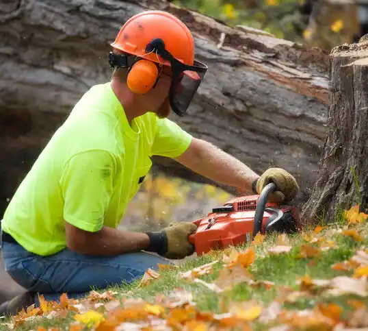 tree services Nettleton